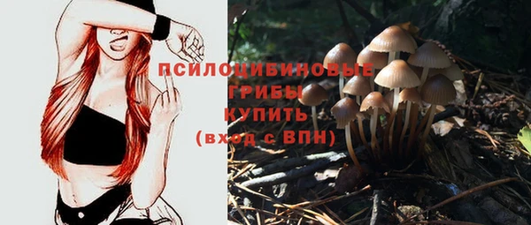 стаф Армянск