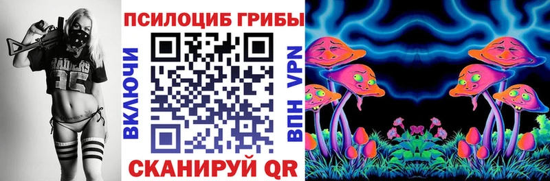 Псилоцибиновые грибы прущие грибы цена Сорочинск